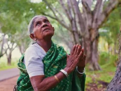 She is Karnataka’s Tree Goddess: How Padma Shri 'Vruksha Mathe' turned a 4.5-km barren highway into green paradise people enjoy today