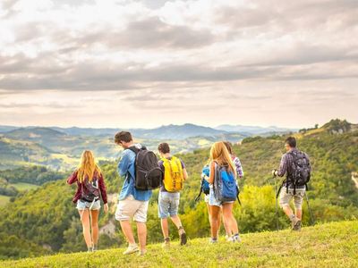 New Zealand to move Group Visitor Visa and Tour Escort Visitor Visa applications to enhanced online system from July