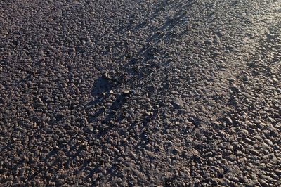 MotoGP's new Brazil GP venue to be closed again for asphalt works