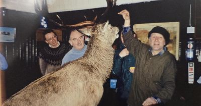 Guests reminisce about stags wandering into Highland hostel