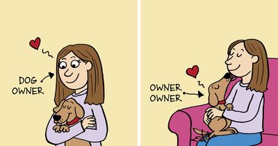 The 65 Best Absurd Humor Comics By Maria Scrivan