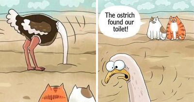 50 Beautiful Cat Comics By This Artist That Show Why Humans Feel So Deeply Connected To These Animals