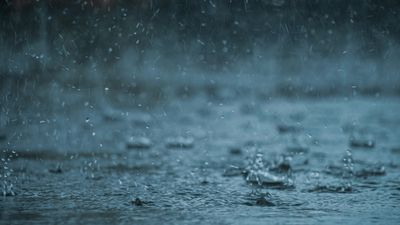 Severe Thunderstorm Watch: Storms Hit Philly Area With 70mph Winds, Suspending Trains and Smashing Homes