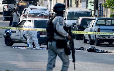 Mexico Sees Drop in Killings but Surge in Disappearances and Extortion, Report Finds