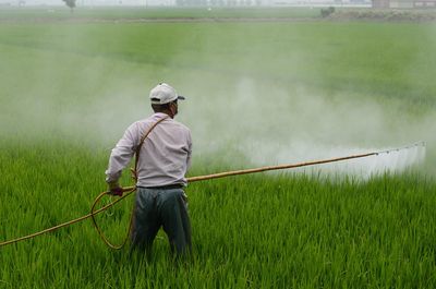 Long Term Pesticide Exposure Damages the Nervous System and Threatens Fertility