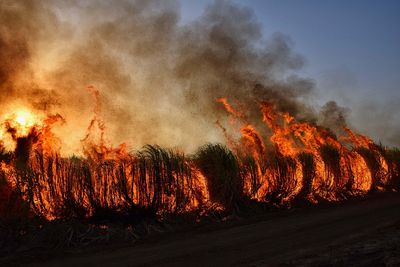 Wildfire Smoke Exposure for a Week and Its Impact on Lungs and Heart