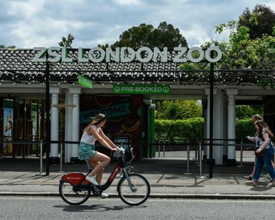 Reeves cuts VAT on summer days out to 5% as part of cost of living support