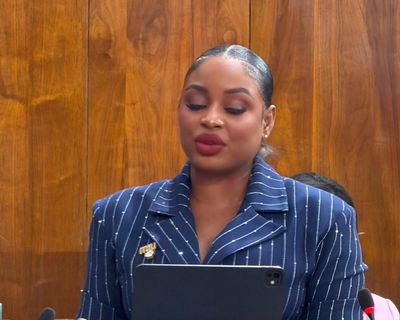 ‘It’s broken English’: MP’s attempt to speak Jamaican in parliament sparks language row