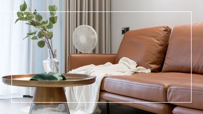 Doing this simple task now can help to keep your home cool during the heatwave
