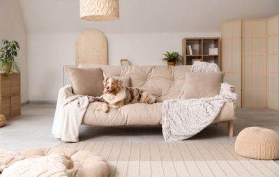 Forget Fancy Furniture — These 8 Living-Room Items Scream “Lower-Middle-Class” and You’ll Be Judged