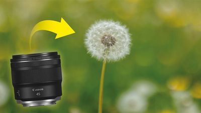Five times cheaper than the alternative, this new super-fast Canon lens opens up a new world for my creative photography