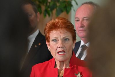 One Nation’s rapid national expansion in disarray as ‘significant risks’ force dissolution of new branches