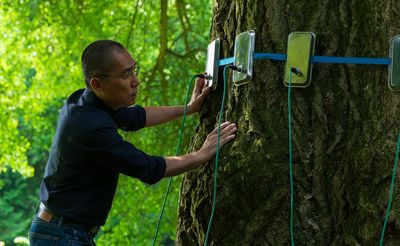 Can We Talk To Trees? The Surprising Science Behind Plant “Intelligence” In 'Silent Friend'