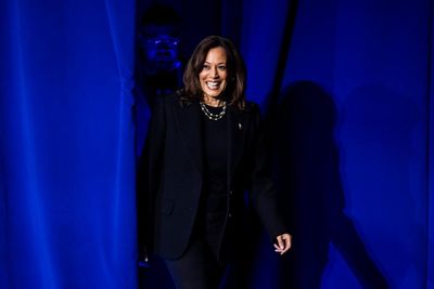 Democrats belatedly publish 2024 election autopsy report: ‘It won’t meet your standards’