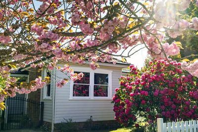 The Midwest is leading America's spring housing rebound because of 'buyers who are actually showing up,' Realtor.com says