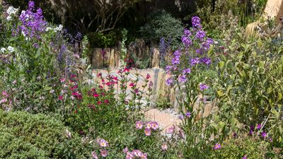 5 Planting and Design Trends From RHS Chelsea 2026 That Will Work Beautifully in Any Backyard