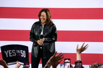 DNC chair apologizes for creating ‘even bigger distraction’ releasing Dem autopsy report