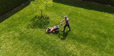 Mowing the lawn: the colonial ghosts haunting our suburban ritual
