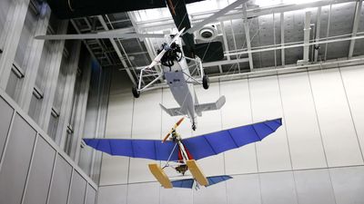 Museum takes flight with inaugural exhibition