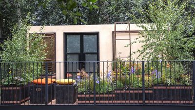 The Balcony Gardens at RHS Chelsea Flower Show 2026 Proved Vertical Gardening Is the Secret to Making Small Spaces Feel Bigger