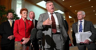 As Labor struggles with budget backwash, One Nation surfs a wave