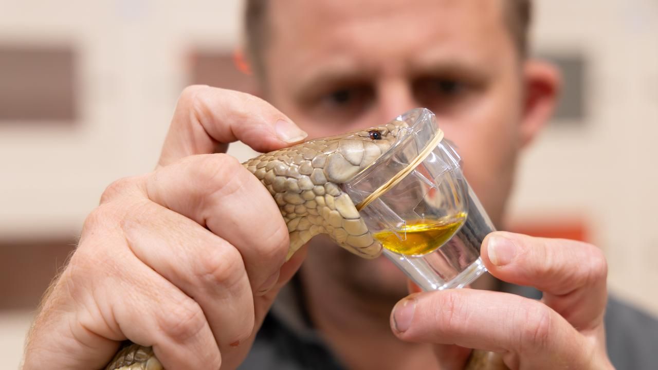 Snakes slithering southward due to climate change
