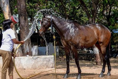 Telangana, Andhra Pradesh weather today: Hyderabad hits season’s highest temperature, Vizag and Kurnool to see extreme heatwave