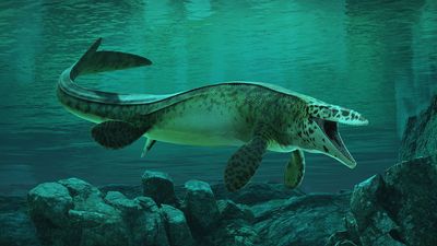 There's a new T. rex from the dinosaur age — and it ruled the seas with a skull-crushing bite