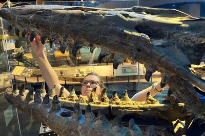 Scientists discover new marine T-rex that was twice the size of great whites and ‘meaner than any mosasaur’