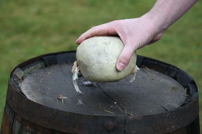 US urged to ‘make haggis legal again’ ahead of World Cup