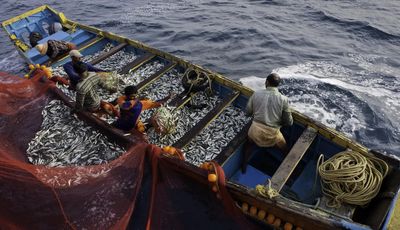 Fishermen are being pushed to the brink by fuel costs in Southeast Asia