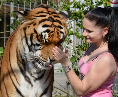 Escape of big cat belonging to Germany’s ‘Tiger Queen’ shatters peace of small town