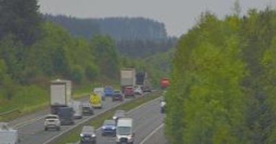 Huge delays as key Scottish motorway blocked with reports of 'animals on road'