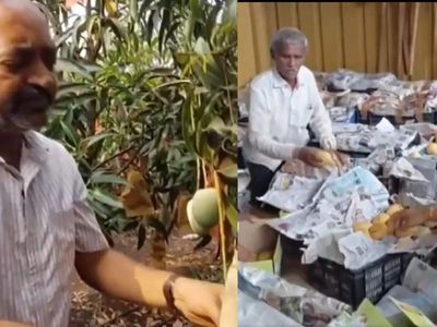 How this Karnataka doctor is growing 30 tonnes of chemical-free Kesar mangoes on rocky land with Israeli technology