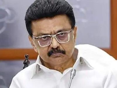 DMK's 'bent coconut tree' jibe draws retort from VCK; Stalin says 'don't be harsh'