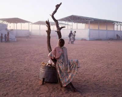 The dinosaurs of international aid must adapt or die – their expensive era is over