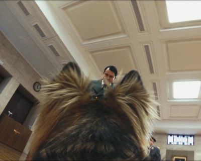 ‘We needed a Hitler who really vibed with the dog’: meet Lexie, the world’s first cinemadographer