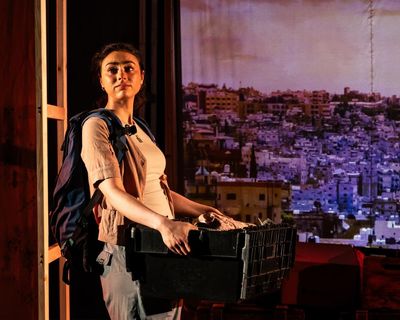 Revolution Days review – fearless aid worker bears witness to the Arab spring