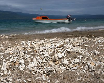 UN’s climate crisis vote shows political momentum is growing, say experts