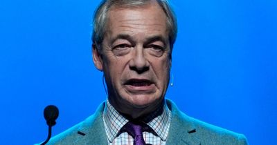 Special needs centre boss speaks out after 'intimidating' Nigel Farage visit