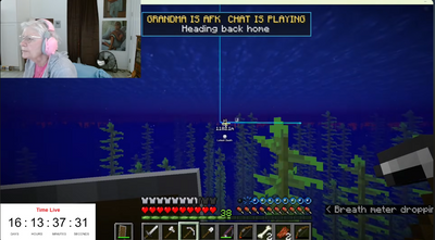 'Minecraft' Streamer GrammaCrackers Targeted in Swatting Incident During Charity Livestream
