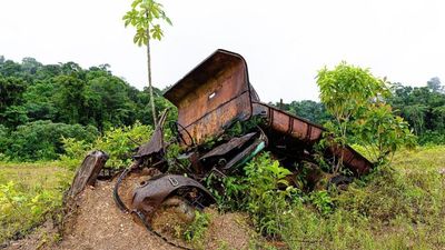 French Guiana court dismisses illegal gold mining lawsuit against state