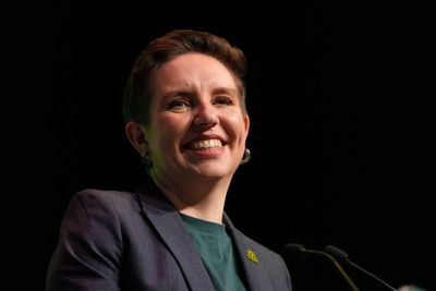 Green MP to take leave of absence on doctor’s advice