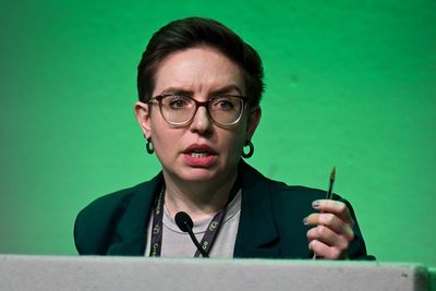 Green MP announces ‘difficult’ decision to take a leave of absence