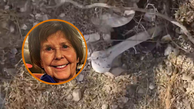 Drama as true crime livestreamer digs up human bone near Nancy Guthrie home, but there’s a spooky catch