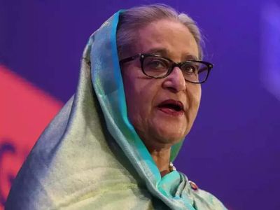 Bangladesh seeks Hasina's return through legal process: Home minister