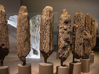 In 1988, beach workers at Norfolk coast uncovered a Bronze Age mystery from strange timber circles in the mud forcing archaeologists to link prehistoric religion to the working landscape