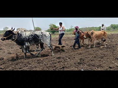 Why partnerships will define India’s agricultural transition
