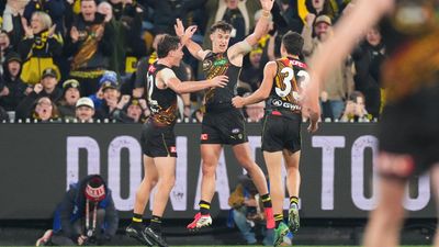 Dons hit rock bottom with 'Dreamtime' loss to Tigers