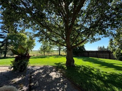The Surprising Ways Your Neighbor’s Tree Could Cost You Thousands